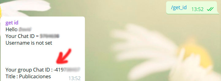 obteniendo el id de nuestro chat en telegram